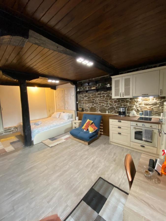 Studio Spring Villa Veliko Tarnovo Exterior photo